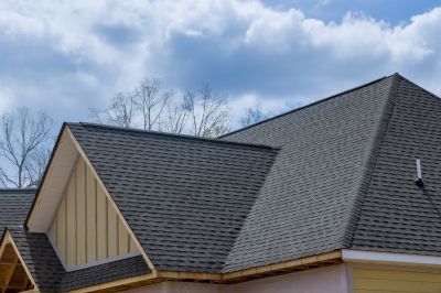 Specialized Roofing Companies